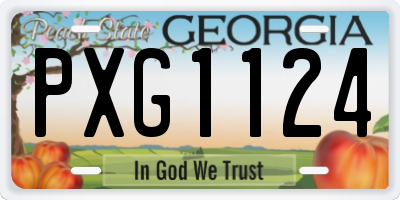 GA license plate PXG1124
