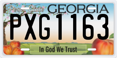 GA license plate PXG1163