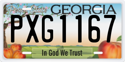GA license plate PXG1167
