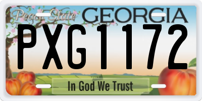 GA license plate PXG1172