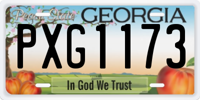 GA license plate PXG1173