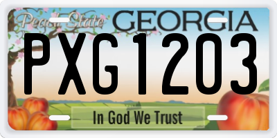 GA license plate PXG1203
