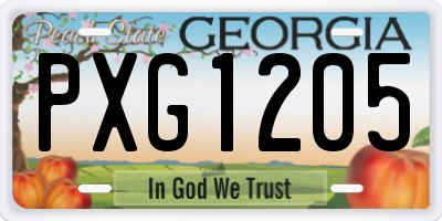 GA license plate PXG1205