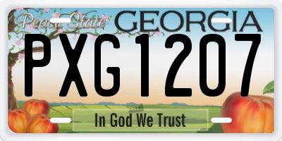 GA license plate PXG1207