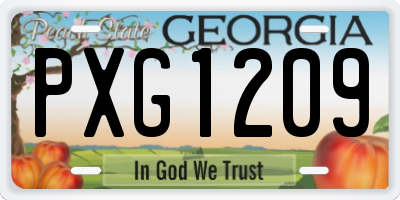 GA license plate PXG1209