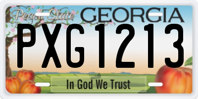 GA license plate PXG1213