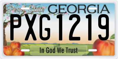 GA license plate PXG1219