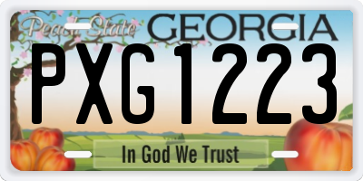 GA license plate PXG1223