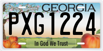 GA license plate PXG1224