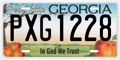 GA license plate PXG1228