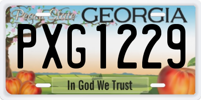 GA license plate PXG1229