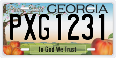 GA license plate PXG1231