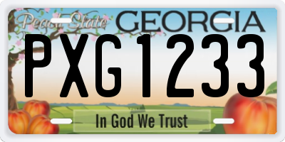 GA license plate PXG1233
