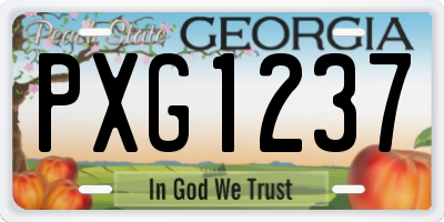 GA license plate PXG1237