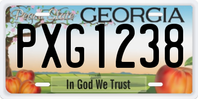 GA license plate PXG1238
