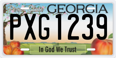 GA license plate PXG1239