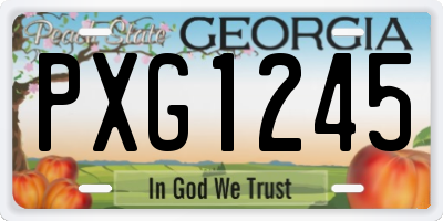GA license plate PXG1245