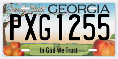 GA license plate PXG1255
