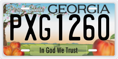 GA license plate PXG1260