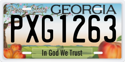 GA license plate PXG1263
