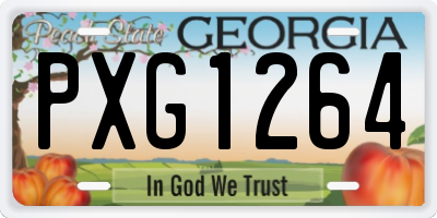 GA license plate PXG1264