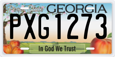 GA license plate PXG1273