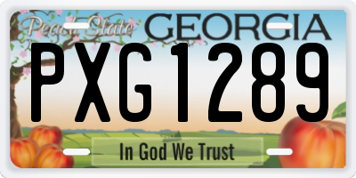 GA license plate PXG1289