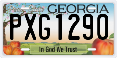 GA license plate PXG1290