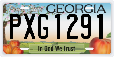 GA license plate PXG1291