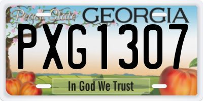 GA license plate PXG1307