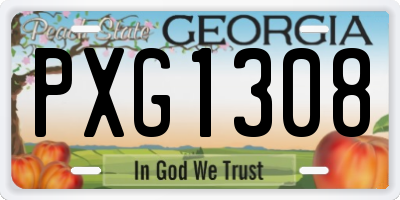 GA license plate PXG1308
