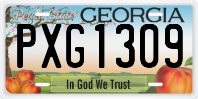 GA license plate PXG1309