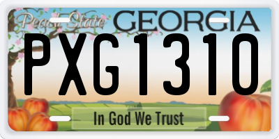 GA license plate PXG1310