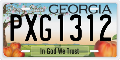GA license plate PXG1312