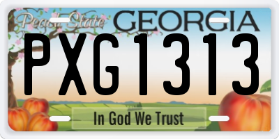 GA license plate PXG1313