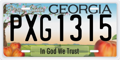 GA license plate PXG1315