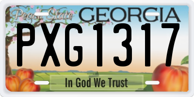 GA license plate PXG1317