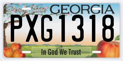 GA license plate PXG1318