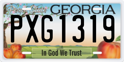 GA license plate PXG1319