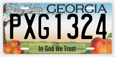 GA license plate PXG1324