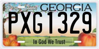 GA license plate PXG1329