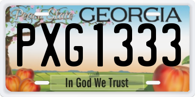 GA license plate PXG1333