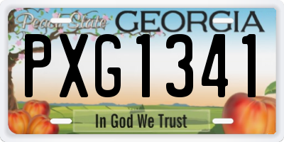 GA license plate PXG1341