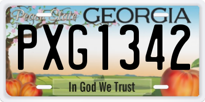 GA license plate PXG1342