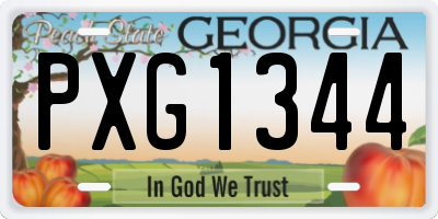 GA license plate PXG1344