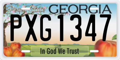 GA license plate PXG1347