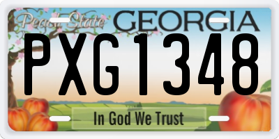 GA license plate PXG1348