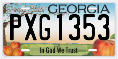 GA license plate PXG1353