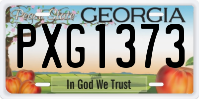 GA license plate PXG1373