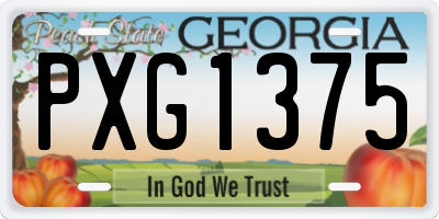 GA license plate PXG1375